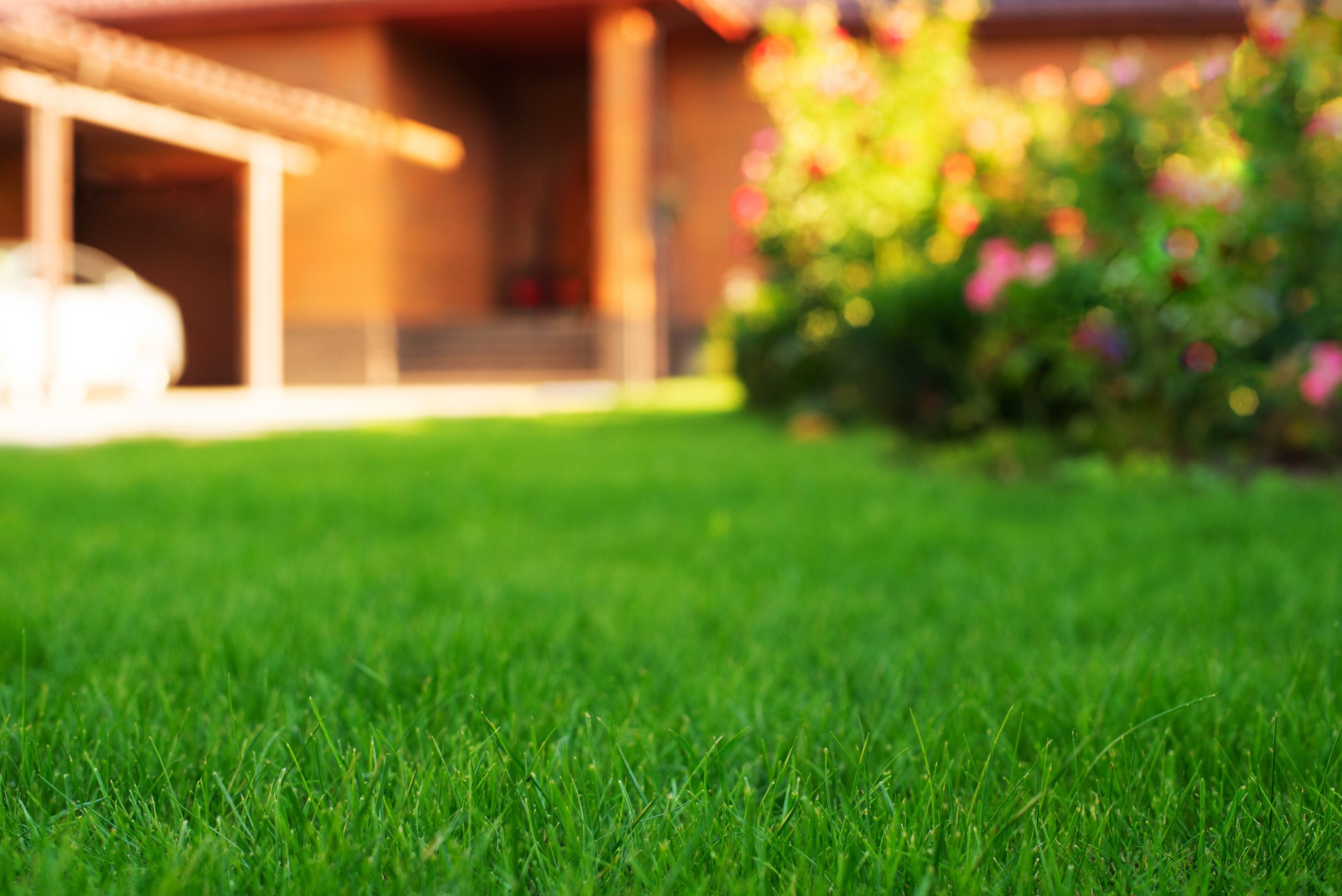 Lawn & Landscape Home Protection Guide